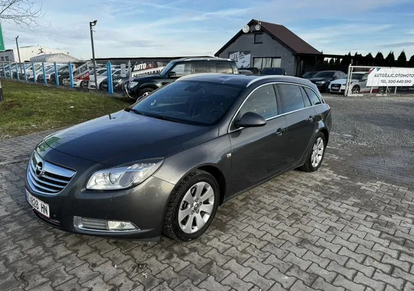 płoty Opel Insignia cena 12900 przebieg: 290000, rok produkcji 2011 z Płoty